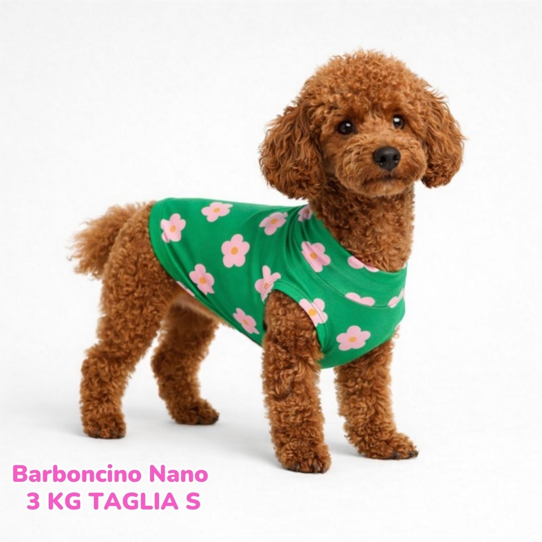 Maglietta Cotone Margherite