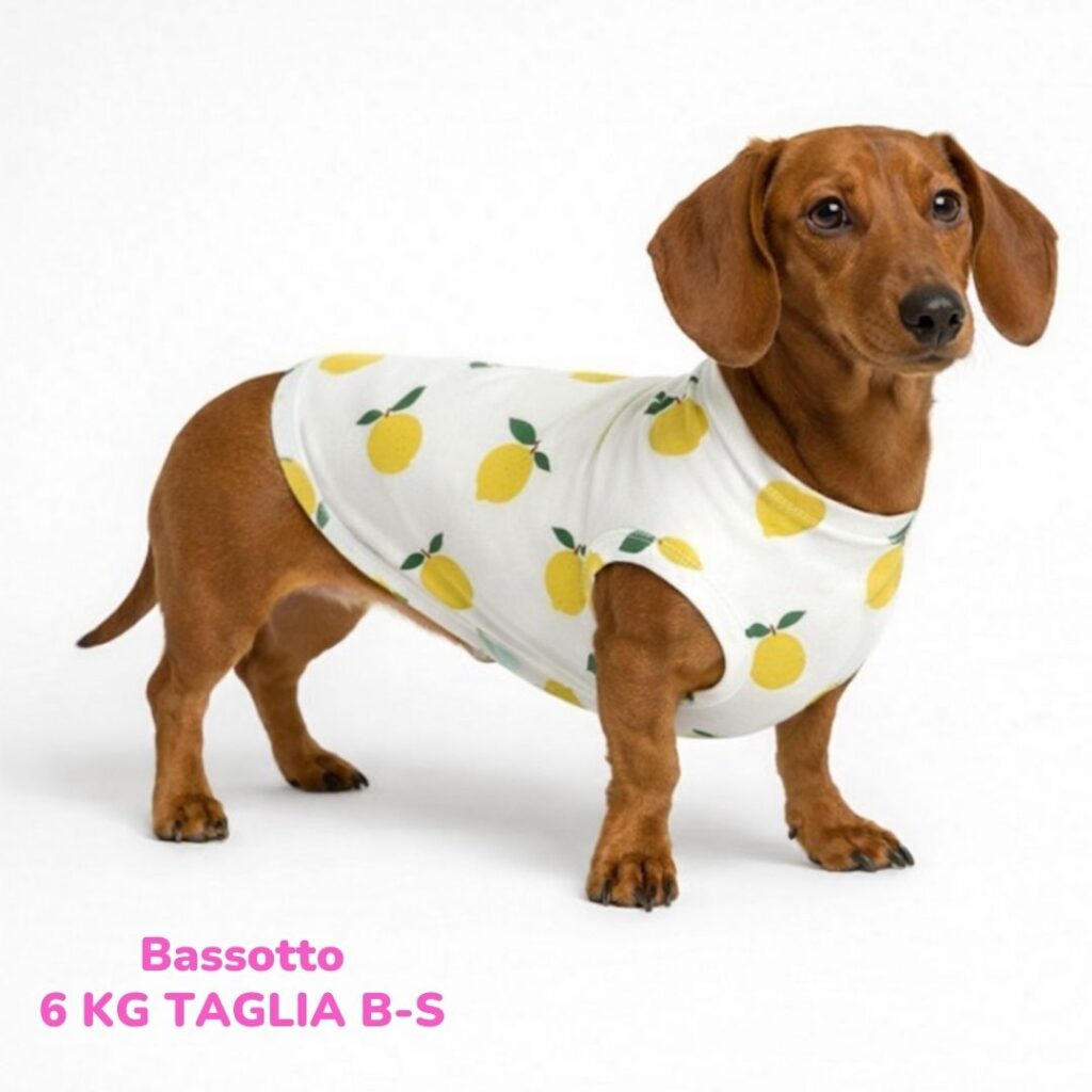 abbigliamento per cani (78)