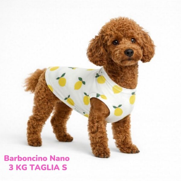 Maglietta Cotone Limoni Maglietta Cotone Limoni