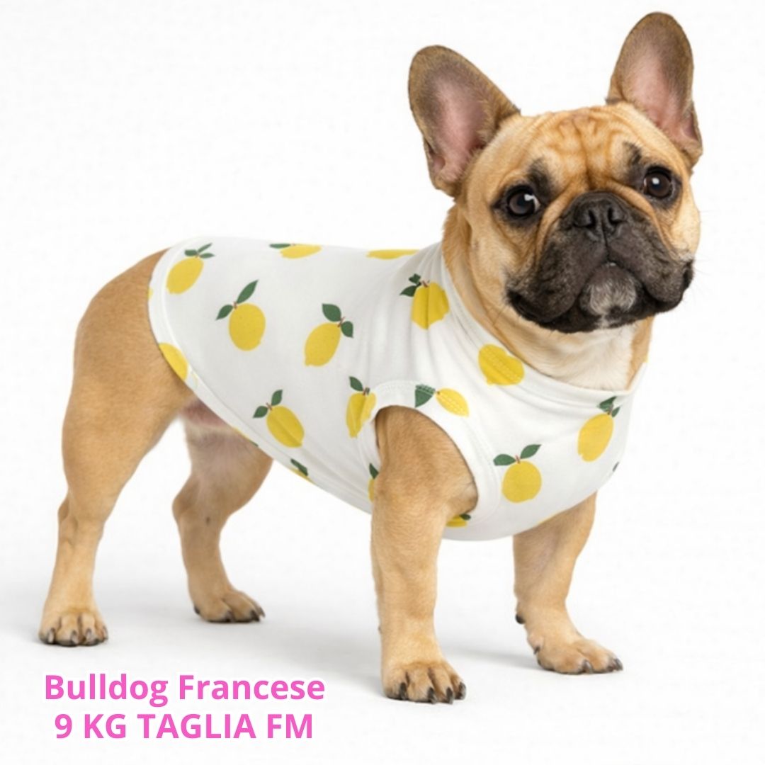 Maglietta Cotone Limoni