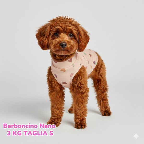 Felpa Cotone Primavera Cuoricini