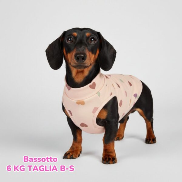 abbigliamento per cani (90)