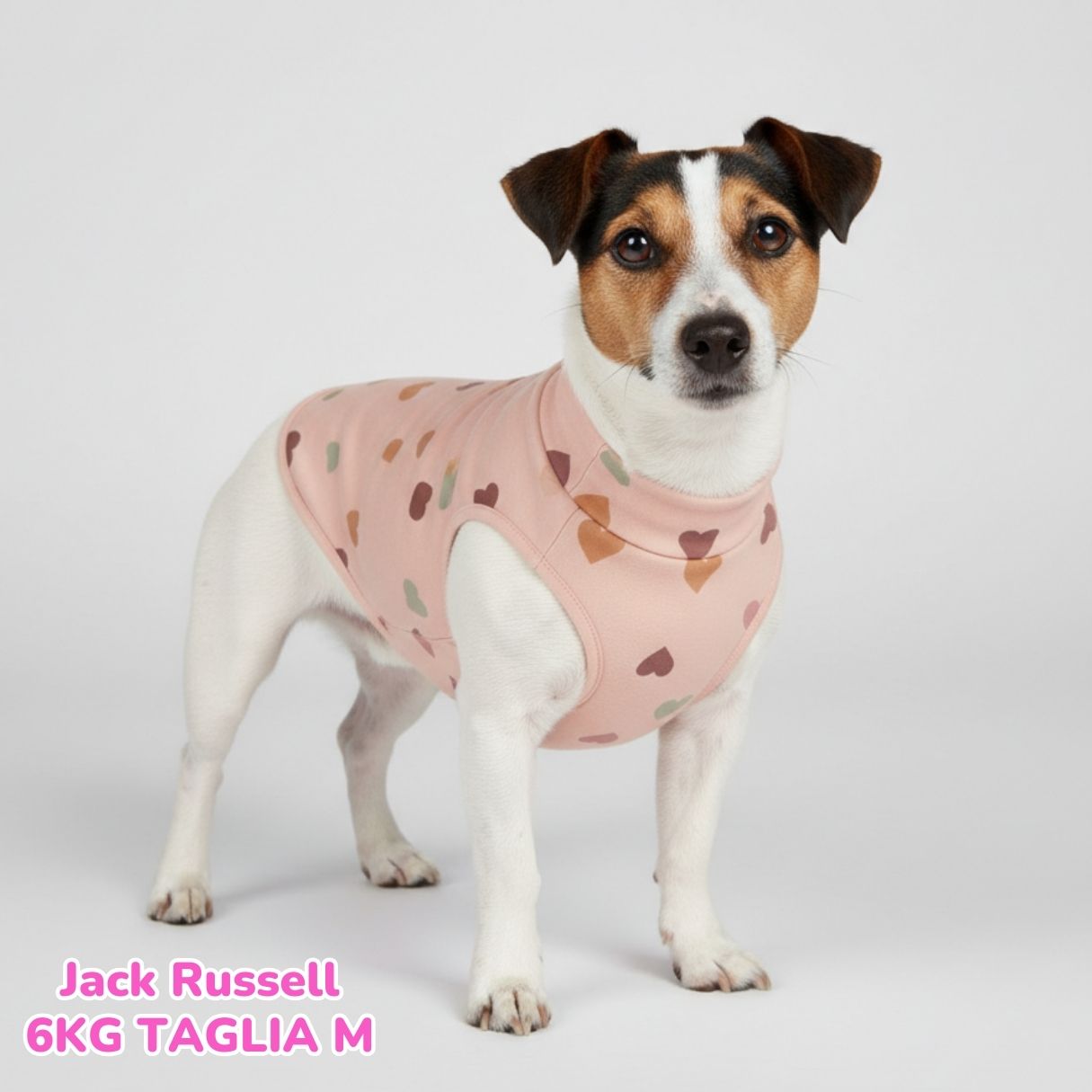 Felpa Cotone Cuoricini