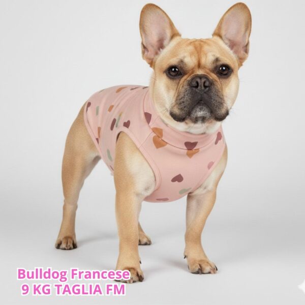 Felpa Cotone Primavera Cuoricini