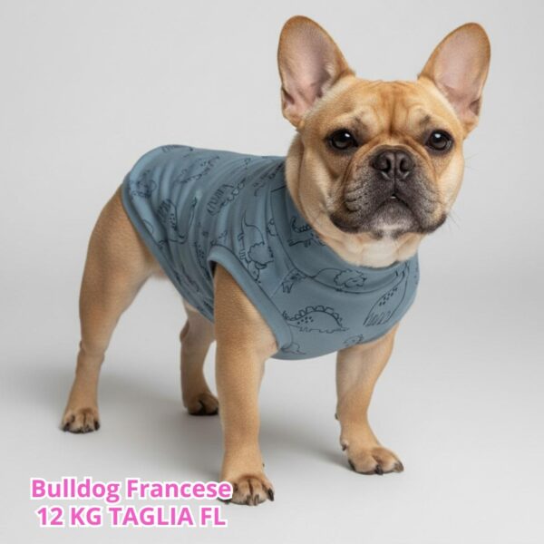 Felpa Cotone Primavera Dino