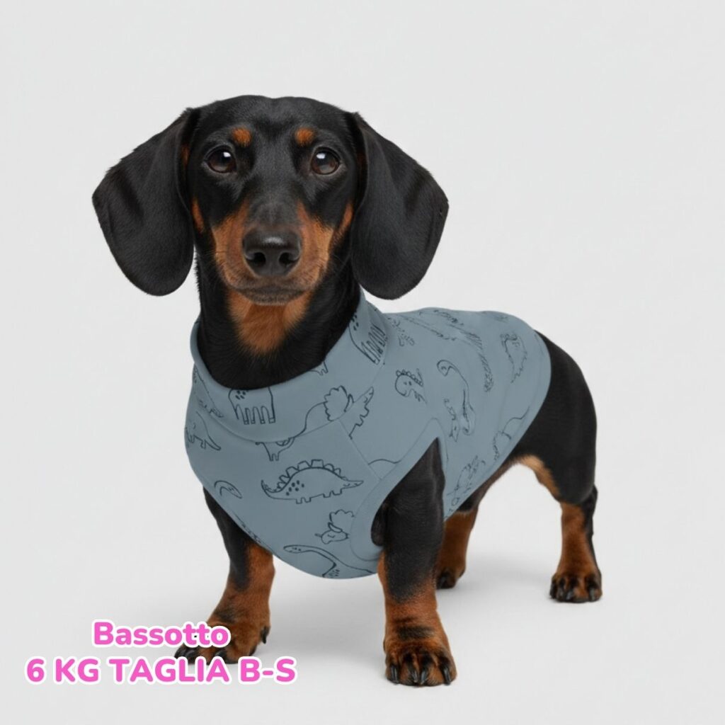 abbigliamento per cani (94)