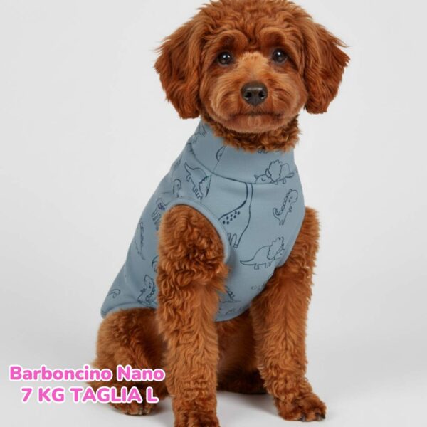 Felpa Cotone Primavera Dino