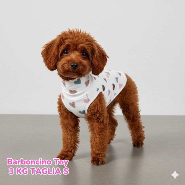 Felpa Cotone Primavera Cuoricini Latte FL