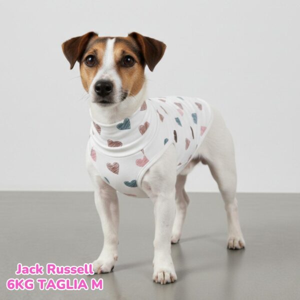 Felpa Cotone Primavera Cuoricini Latte FL