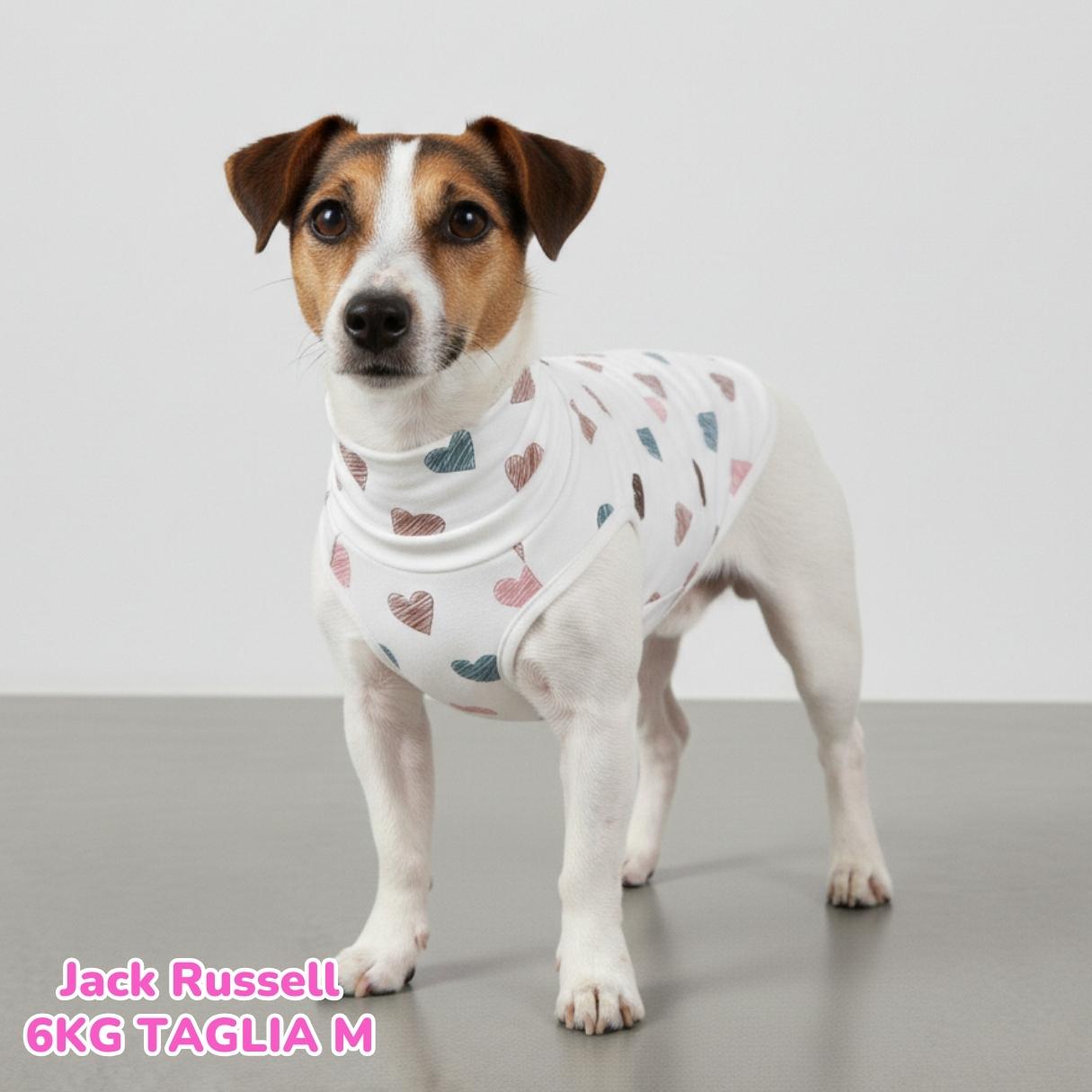 Felpa Cotone Cuoricini Latte