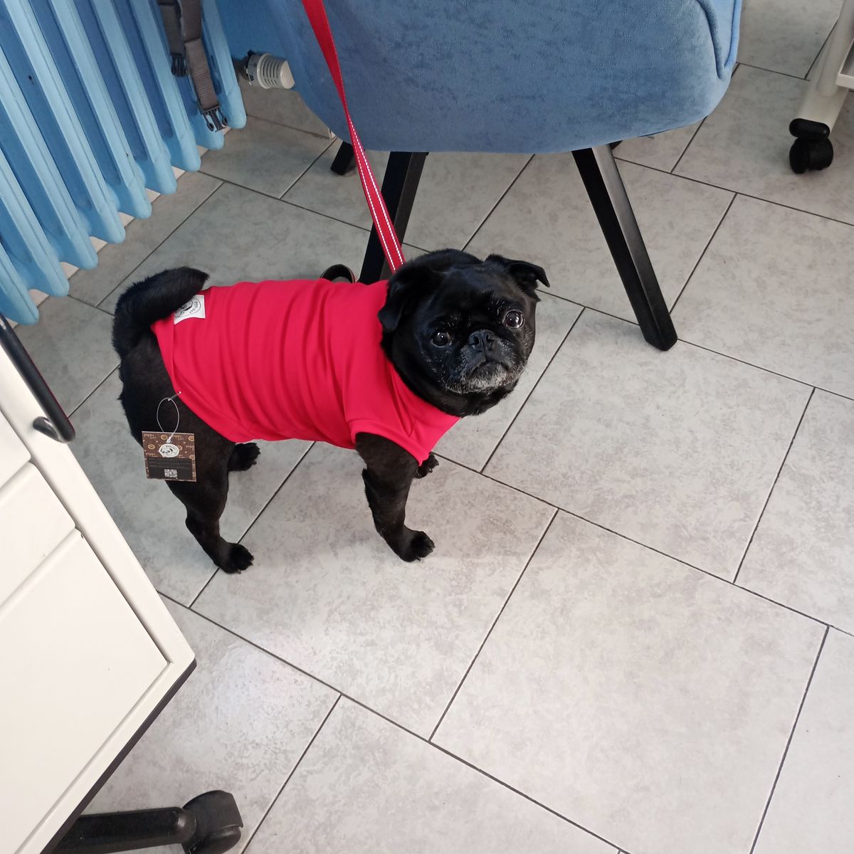 Foto recensione Eleonora E.