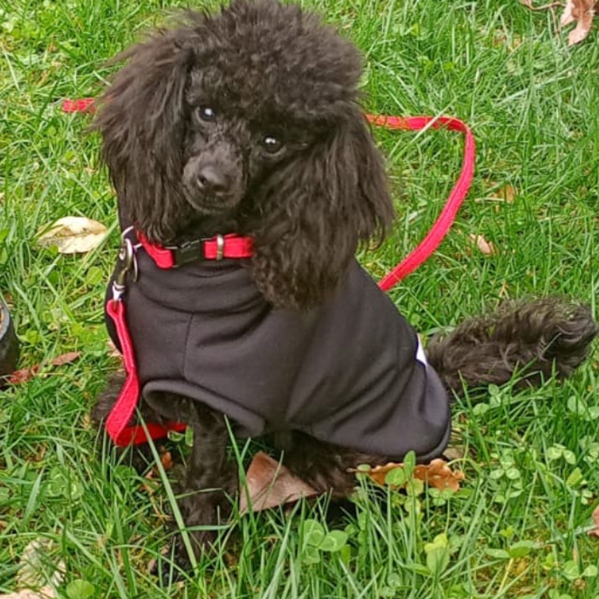 Foto recensione Maria M.