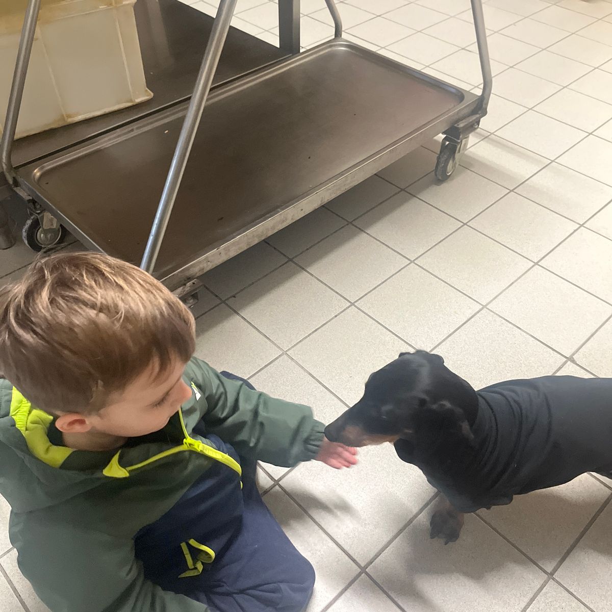 Foto recensione Monica