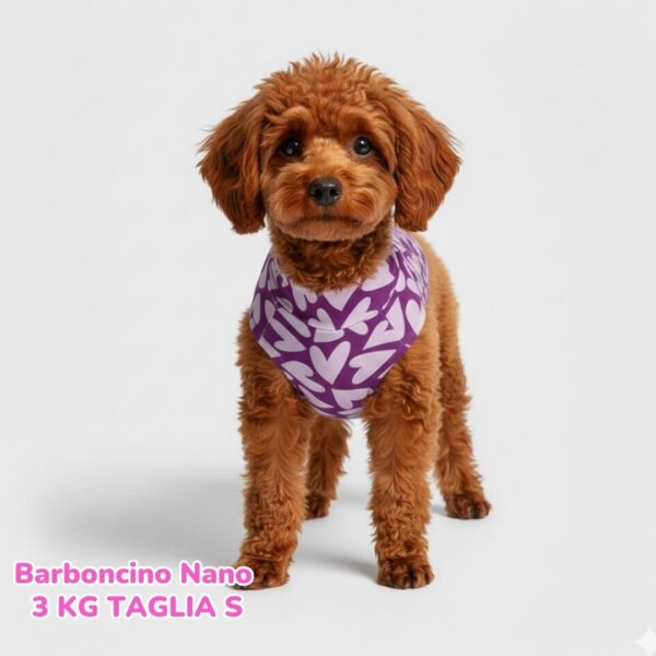 Maglietta Cotone Cuori Viola Maglietta Cotone Cuori Viola