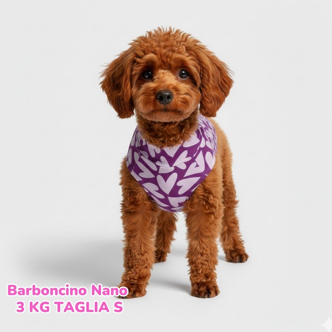 Maglietta Cotone Cuori Viola