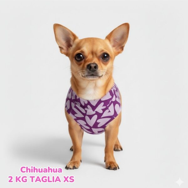 Maglietta Cotone Cuori Viola Maglietta Cotone Cuori Viola