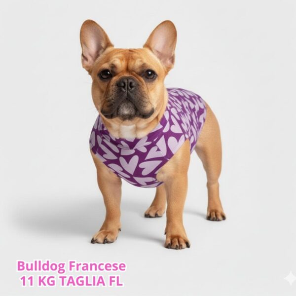 abbigliamento per cani – 2026-03-16T165629.586