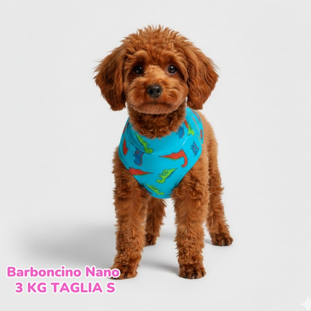 Maglietta Cotone Dino Blu