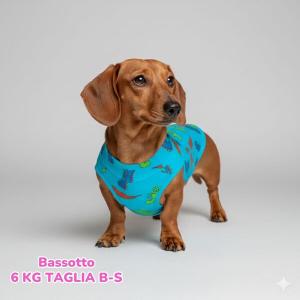 Maglietta Cotone Dino Blu Maglietta Cotone Dino Blu