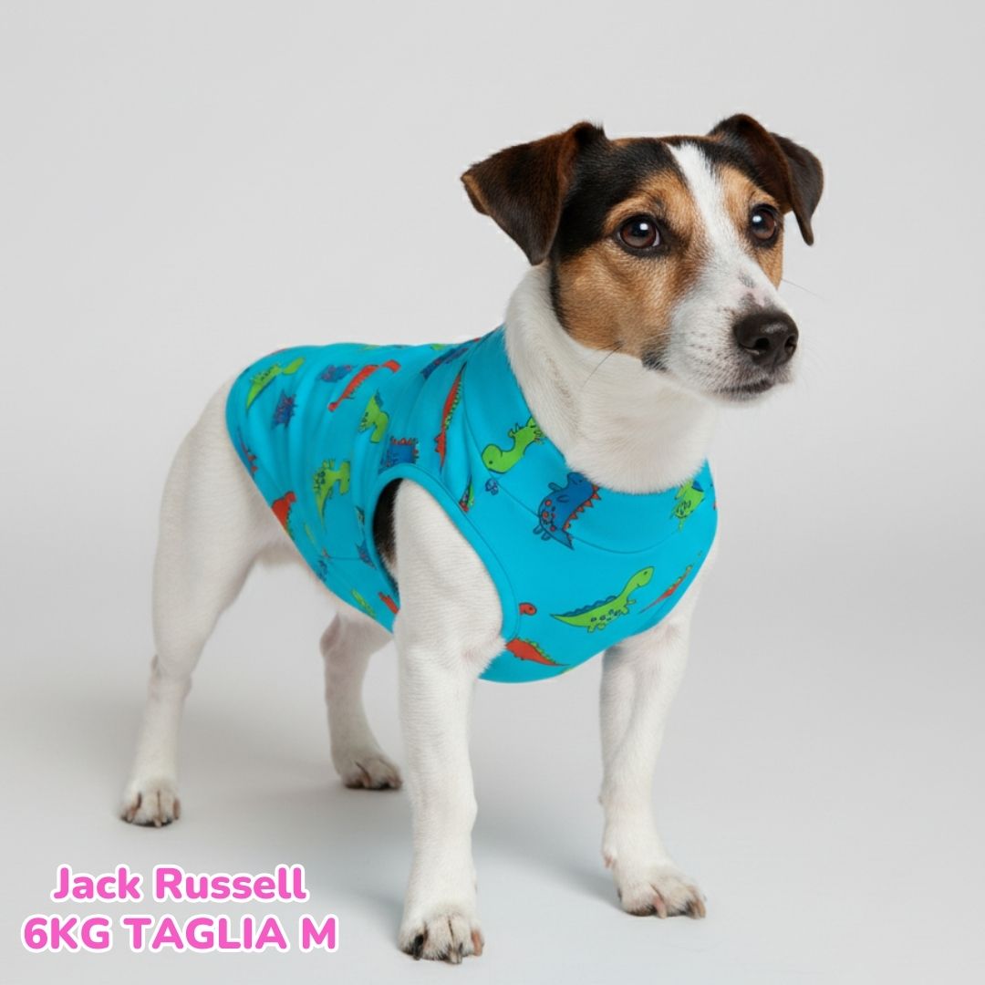 Maglietta Cotone Dino Blu