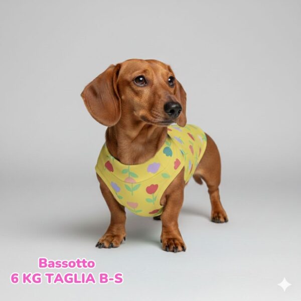 abbigliamento per cani – 2026-03-16T170103.754