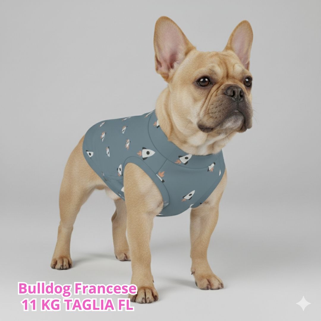 Felpa Cotone Primavera Space