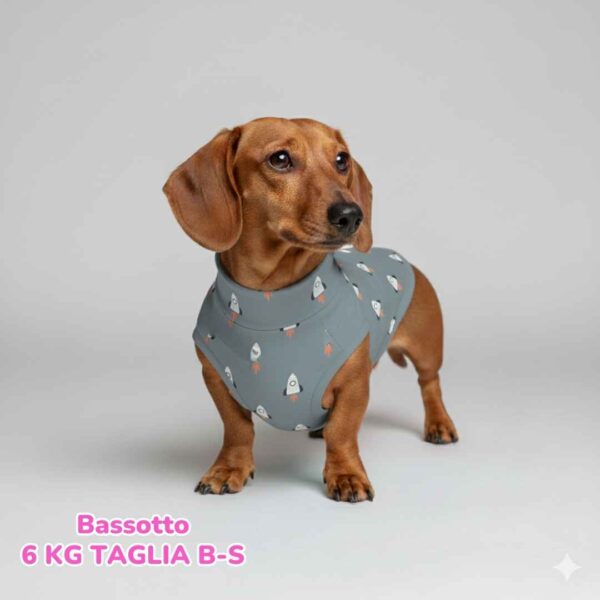 abbigliamento per cani – 2026-03-16T170846.467