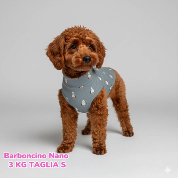 Felpa Cotone Primavera Space Felpa Cotone Primavera Space