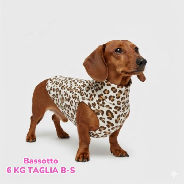 Felpa Cotone Primavera Leopard Felpa Cotone Primavera Leopard