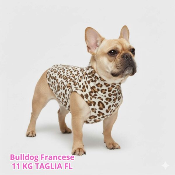 Felpa Cotone Primavera Leopard Felpa Cotone Primavera Leopard