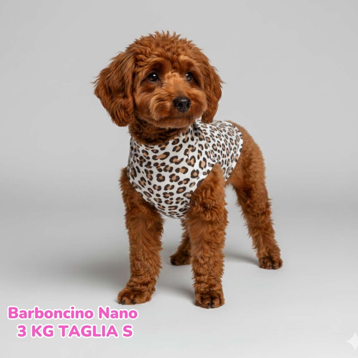 Felpa Cotone Primavera Leopard