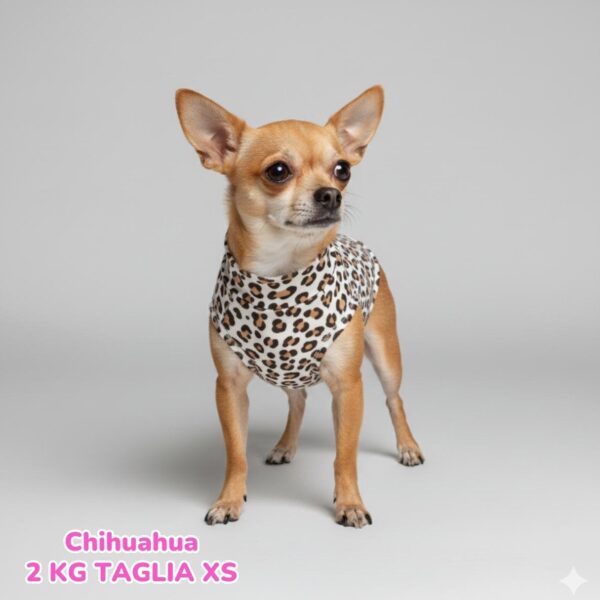 abbigliamento per cani – 2026-03-17T102106.726