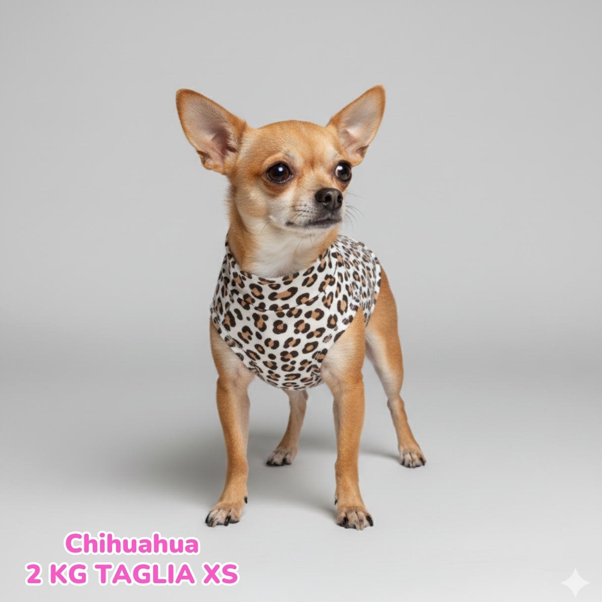 Felpa Cotone Primavera Leopard