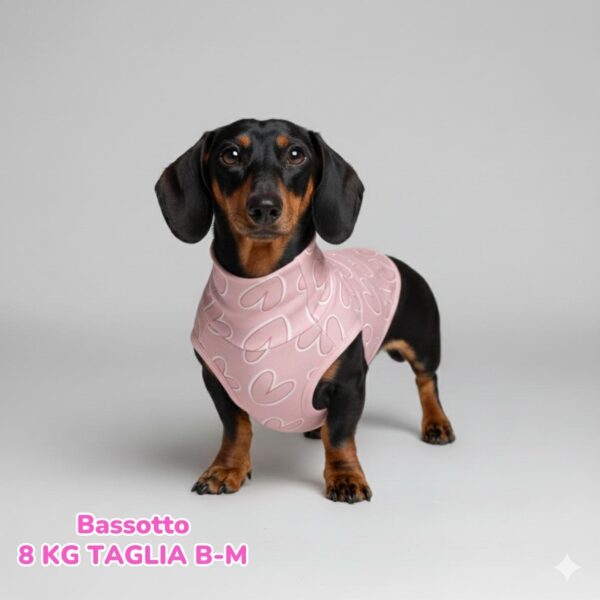 abbigliamento per cani – 2026-03-17T102412.770