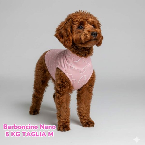 Felpa Cotone Primavera Cuori Rosa Felpa Cotone Primavera Cuori Rosa