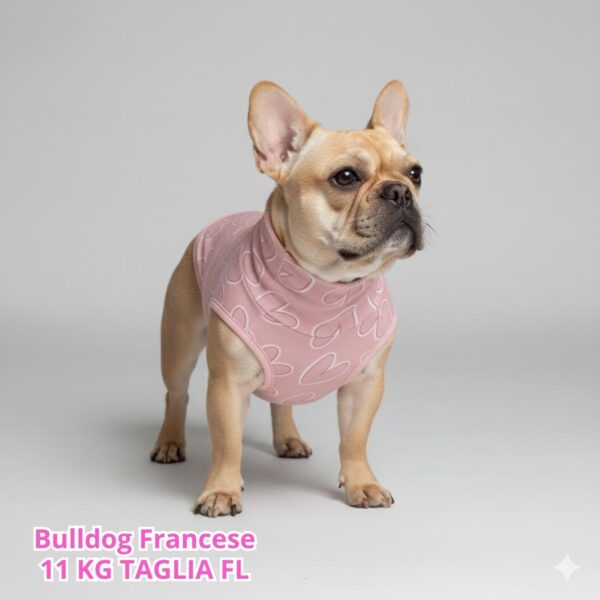 Felpa Cotone Primavera Cuori Rosa Felpa Cotone Primavera Cuori Rosa