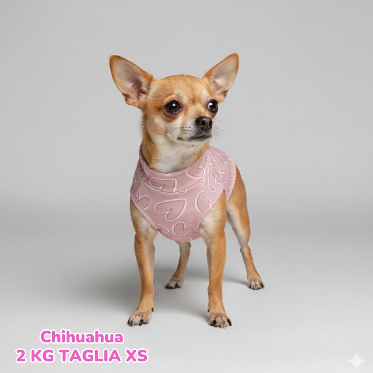 Felpa Cotone Primavera Cuori Rosa