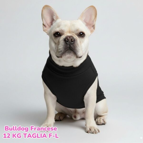 Felpa Cotone Primavera Nero Felpa Cotone Primavera Nero