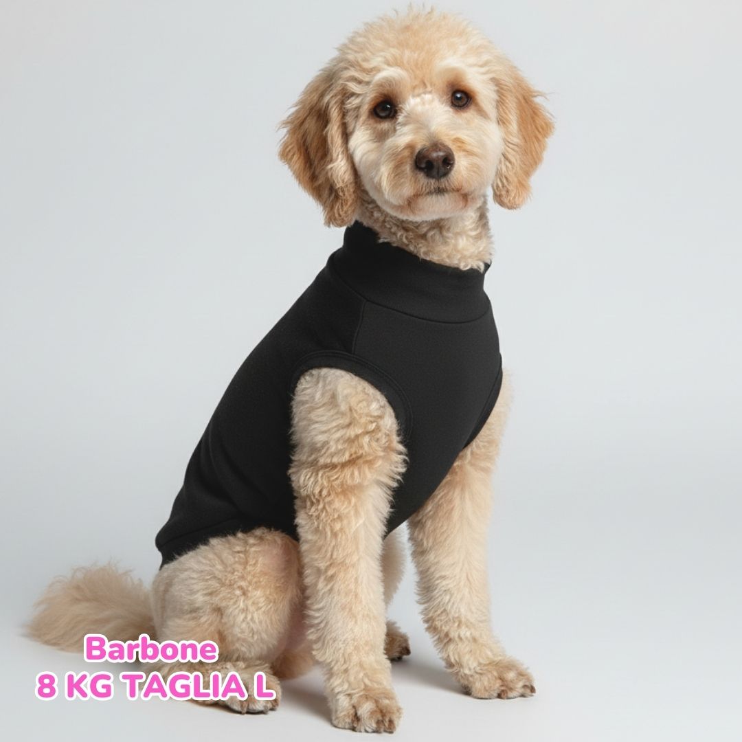 Felpa Cotone Primavera Nero