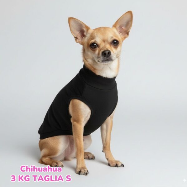 Felpa Cotone Primavera Nero Felpa Cotone Primavera Nero