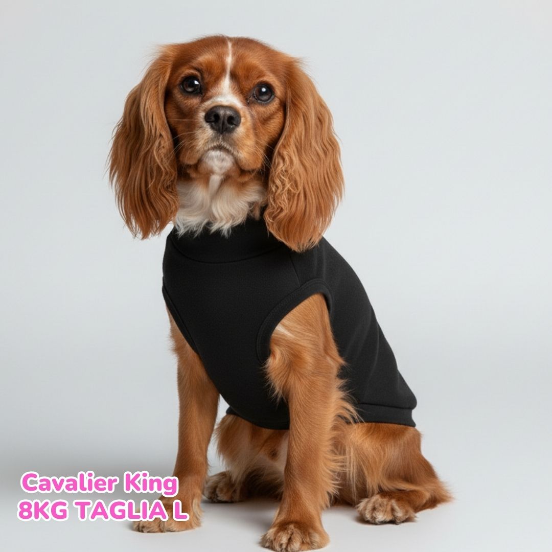 Felpa Cotone Primavera Nero