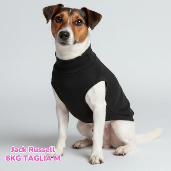 Felpa Cotone Primavera Nero Felpa Cotone Primavera Nero