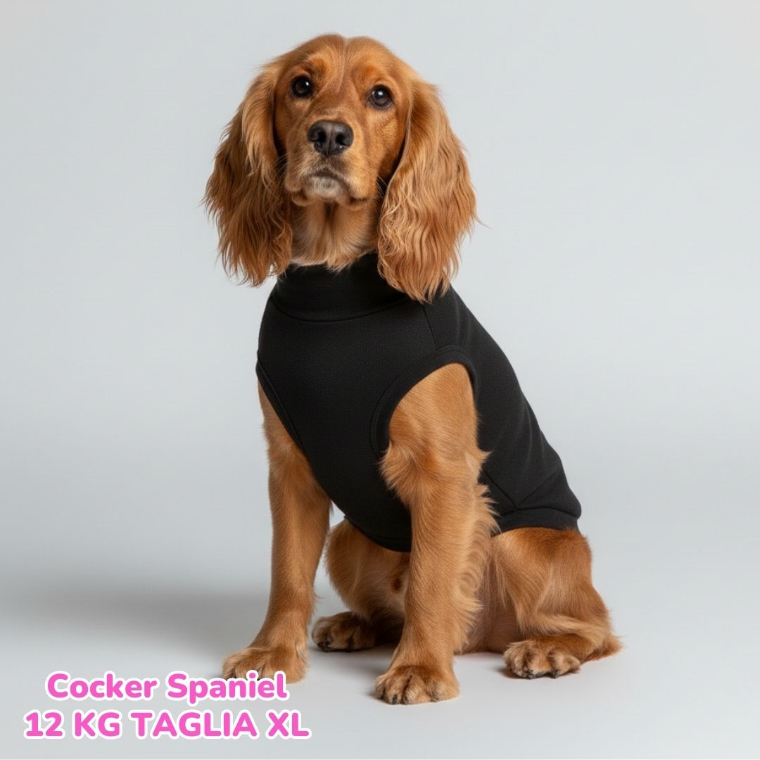 Felpa Cotone Primavera Nero