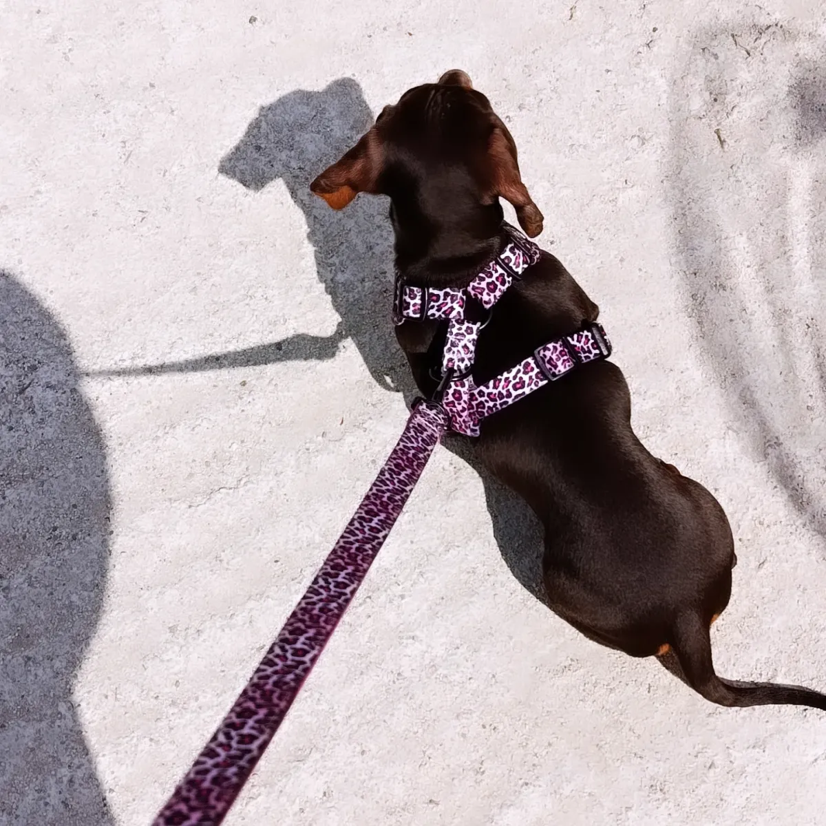 Foto recensione ilaria