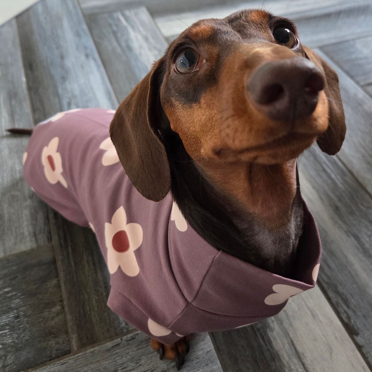 Foto recensione Annalisa C.