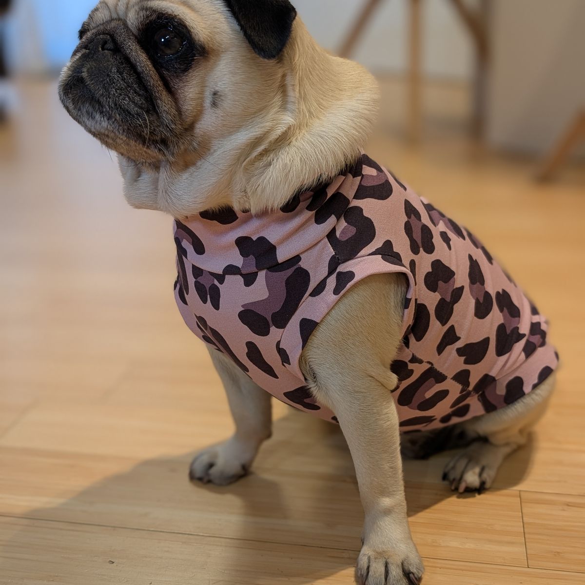 Foto recensione Luna Ascolese