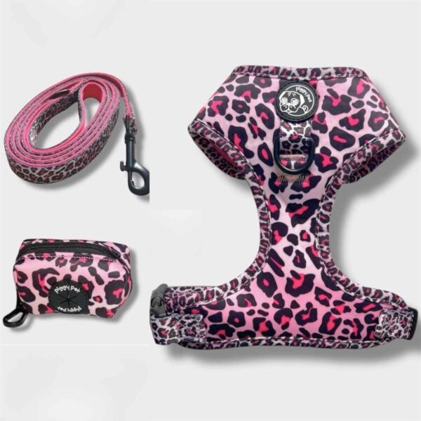 Set Pettorina ad H Morbida, Guinzaglio e Porta Sacchetti Pink Leopard