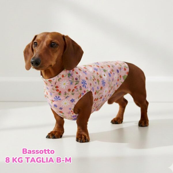 Felpa Cotone Primavera Fragole e Fiori