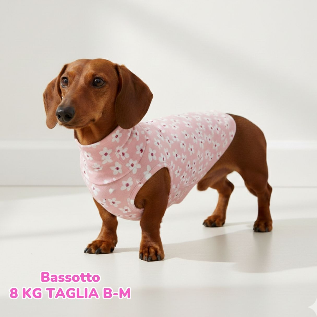 Felpa Cotone Primavera Fiori Rosa