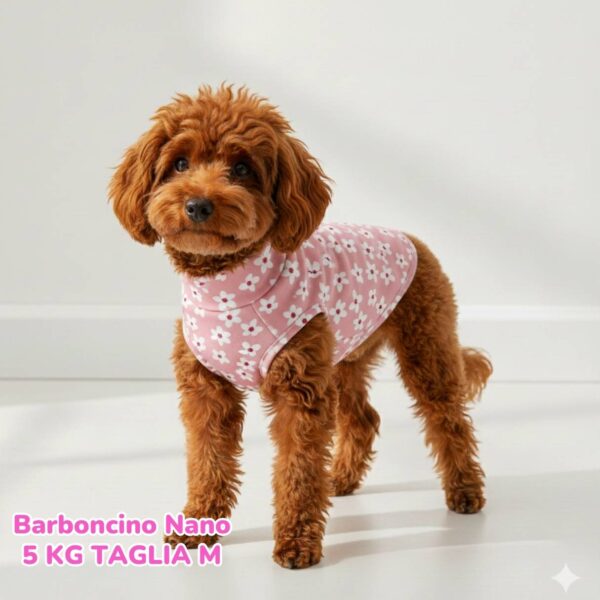 Felpa Cotone Primavera Fiori Rosa